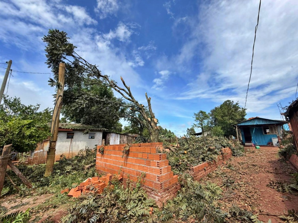 Capa Decreto de Situação de Emergência de Palmeira das Missões é publicado no Diário Oficial do Estado