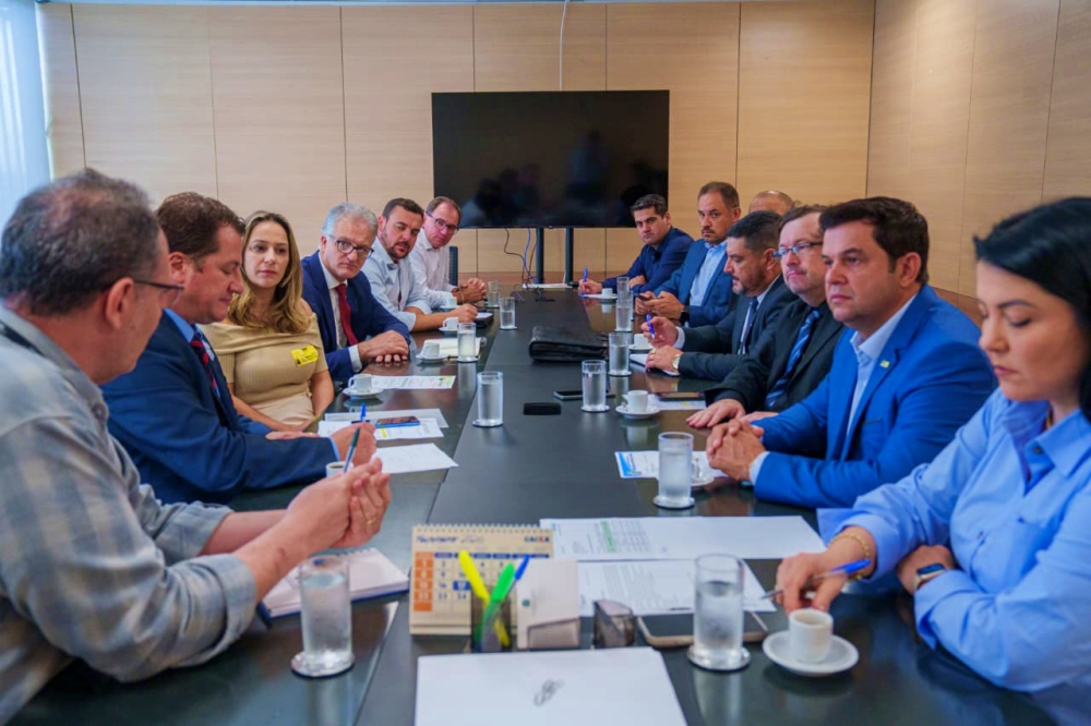 Capa Prefeito de Palmeira das Missões cumpre agenda em Brasília com reuniões sobre saúde, habitação e educação