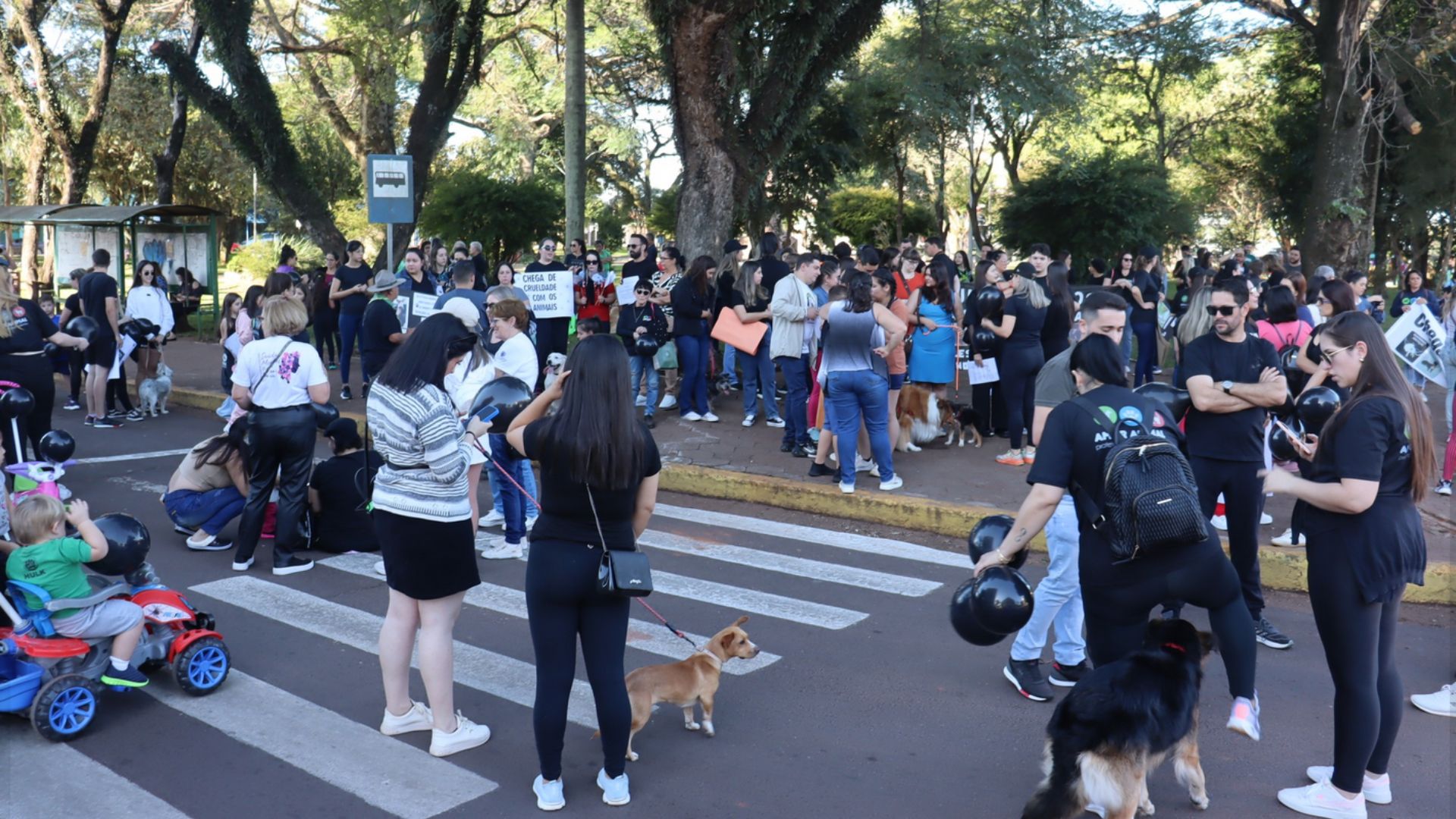 Capa Protesto pelos direitos dos animais marca feriado em Palmeira das Missões