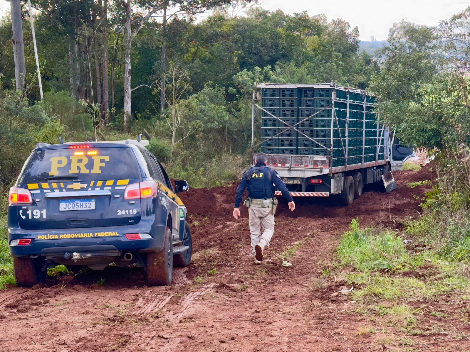 Capa PRF apreende quase uma tonelada de maconha e pistola com seletor de rajada em Passo Fundo