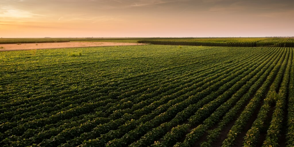 Capa UFSM Palmeira das Missões promove colóquio internacional sobre inovação no agronegócio