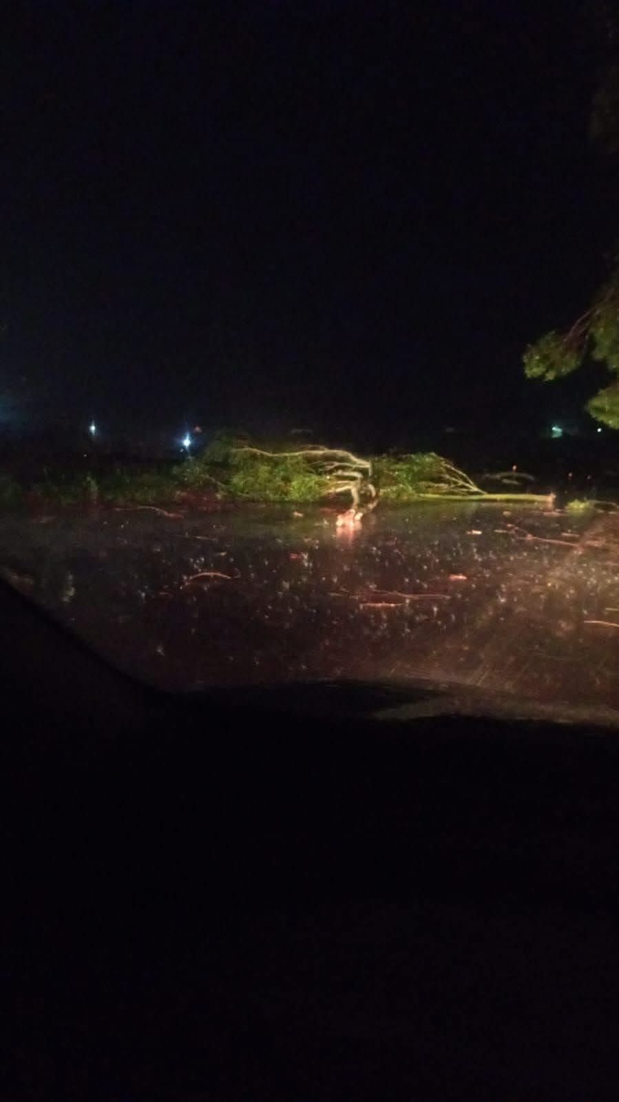 Capa Ventos fortes derrubam galhos e bloqueiam parcialmente a BR-386 em Boa Vista das Missões