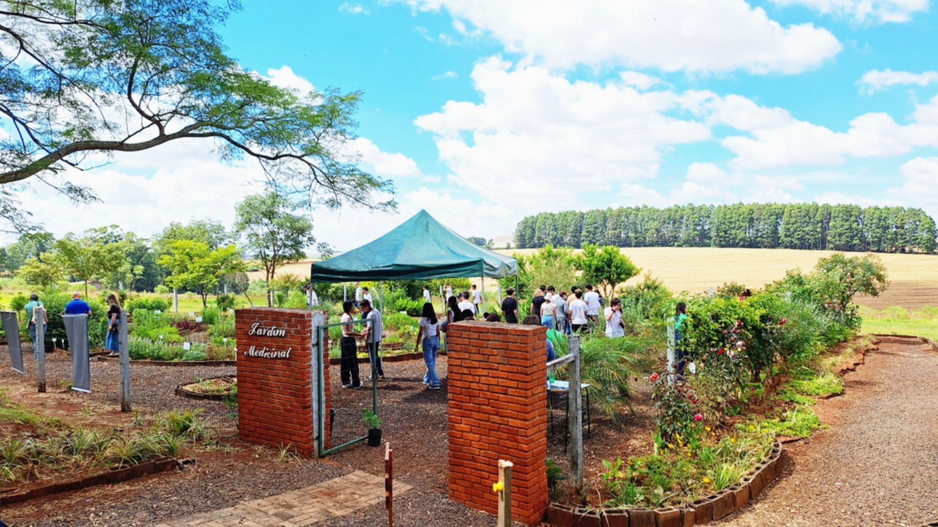 Capa Dia de Campo reforça uso pedagógico e terapêutico de plantas bioativas em Palmeira das Missões