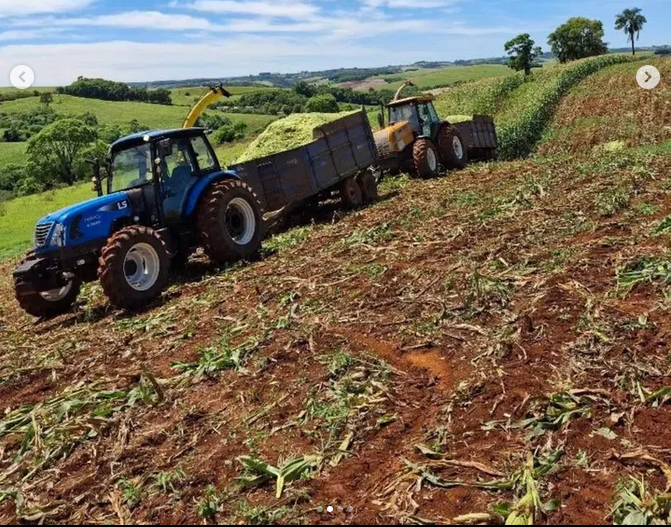 Capa Prefeitura mantém serviços de silagem e reforça apoio ao produtor rural em Sagrada Família