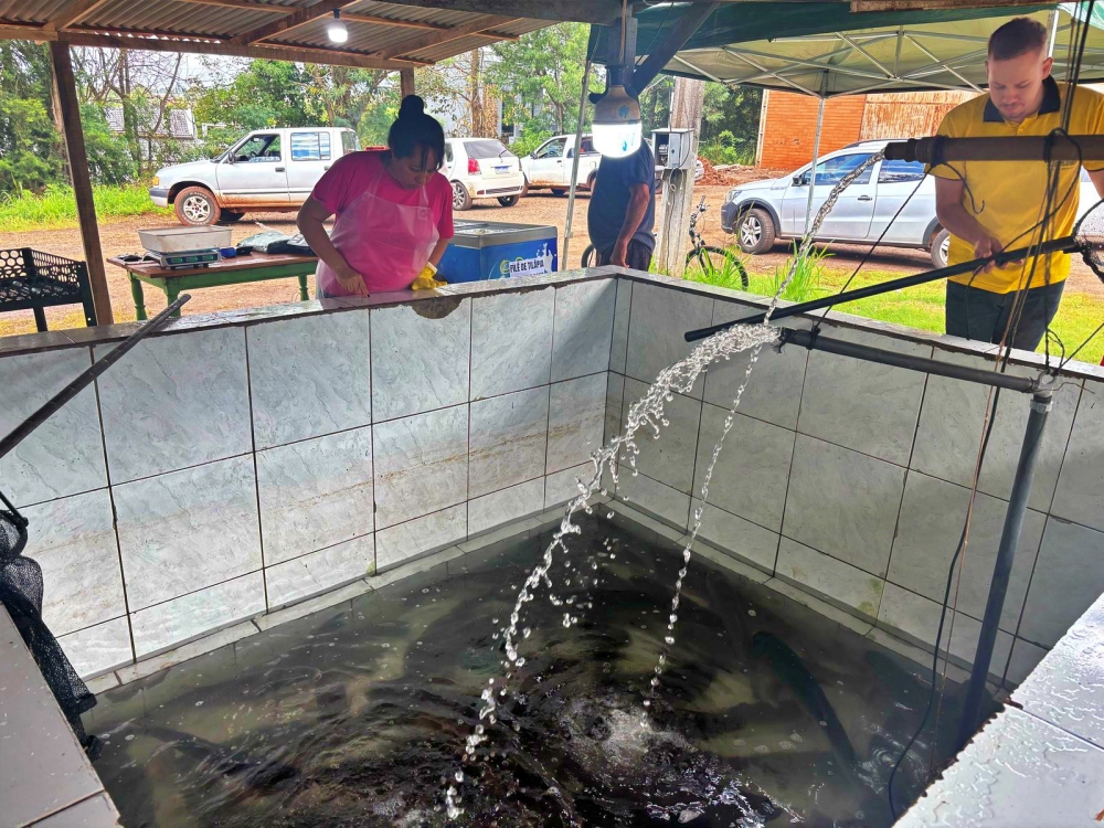 Capa Feira do Peixe edição especial Semana Santa segue até quinta-feira no Parque de Exposições de Palmeira das Missões