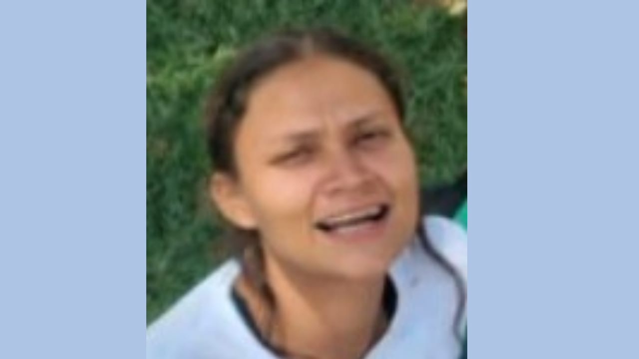 Capa Polícia Civil investiga desaparecimento de mulher em Sarandi