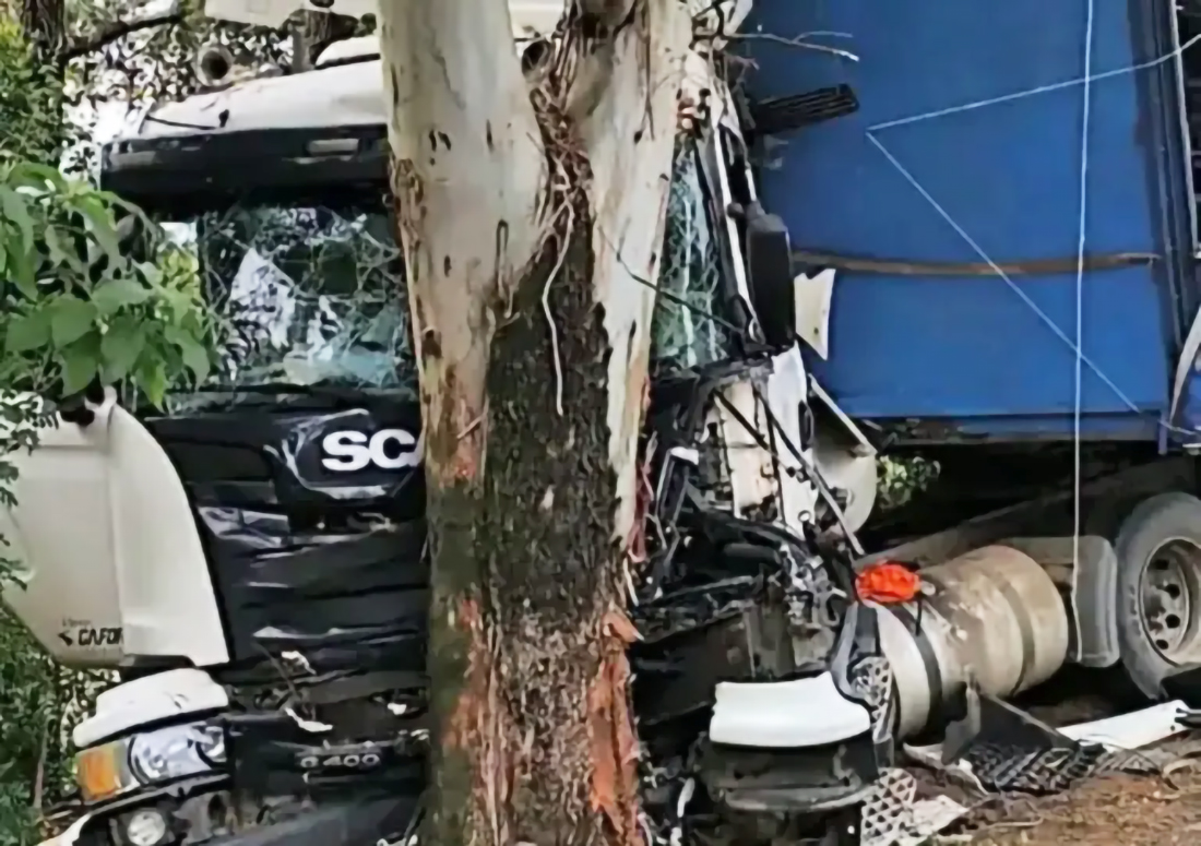 Capa Carreta sai da pista e bate contra árvore na BR-158, em Panambi